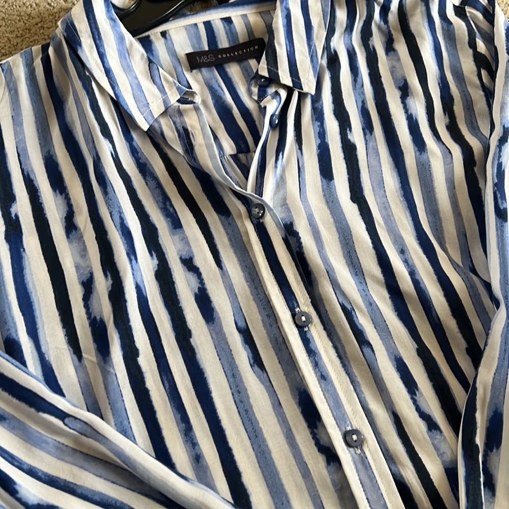 Blue striped Blouse